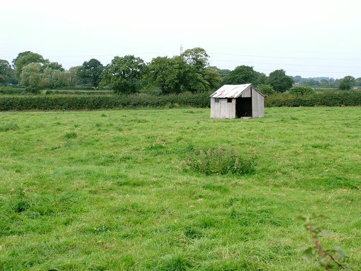 A lone shed in a field