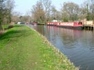 Grass towpath and narrow boats