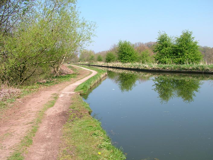 Looking back to see canal narrowing