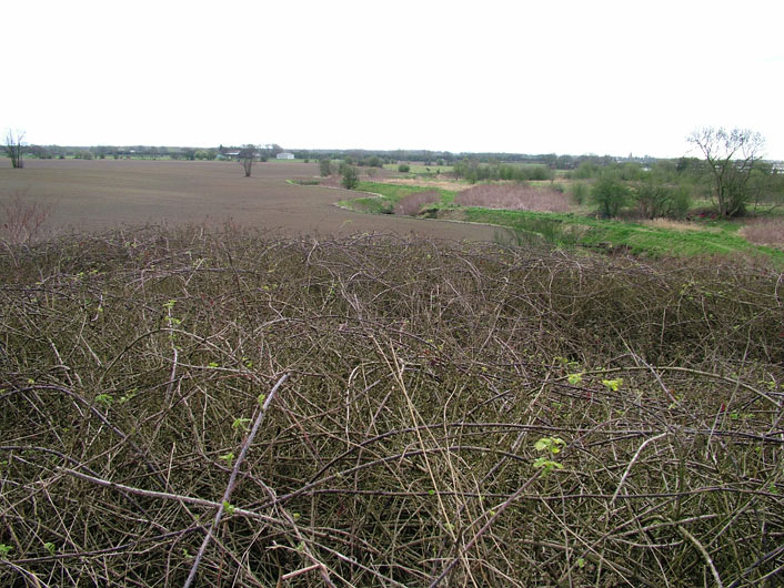 Our first view of the countryside