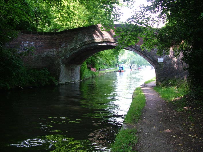 Walton bridge (Bridge 11)