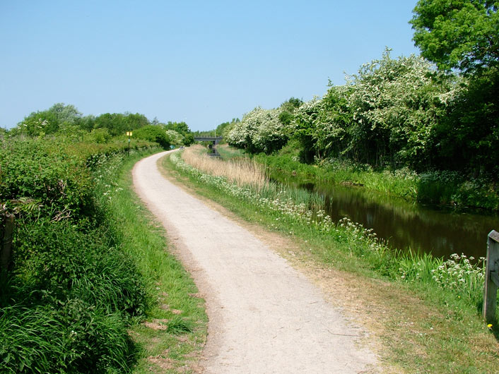 Out into the country