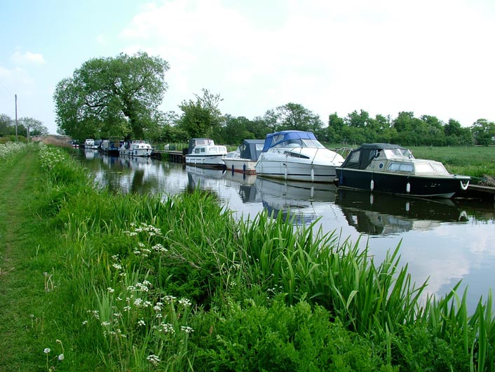 Boats moored