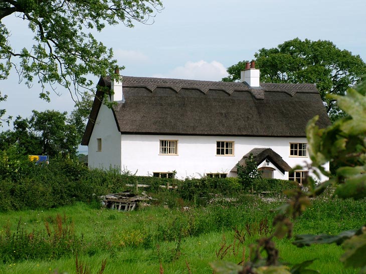 A nice thatched cottage