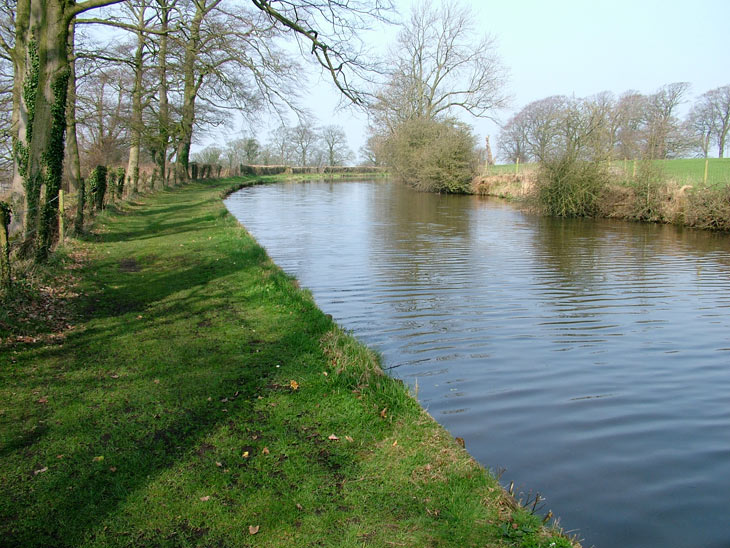 Grass towpath