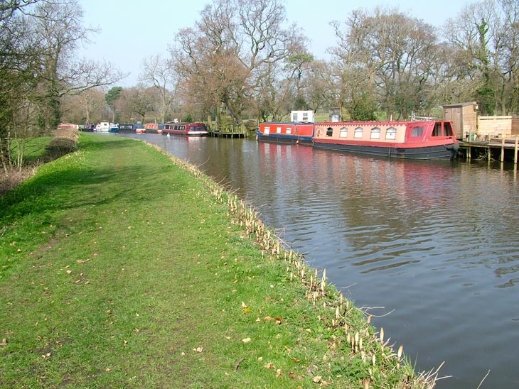 Grass towpath and narrow boats