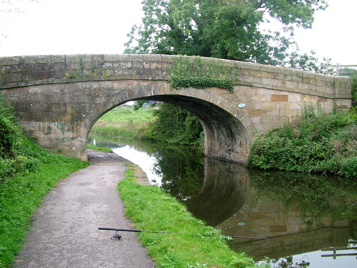 Hammerton Hall bridge (Bridge111)