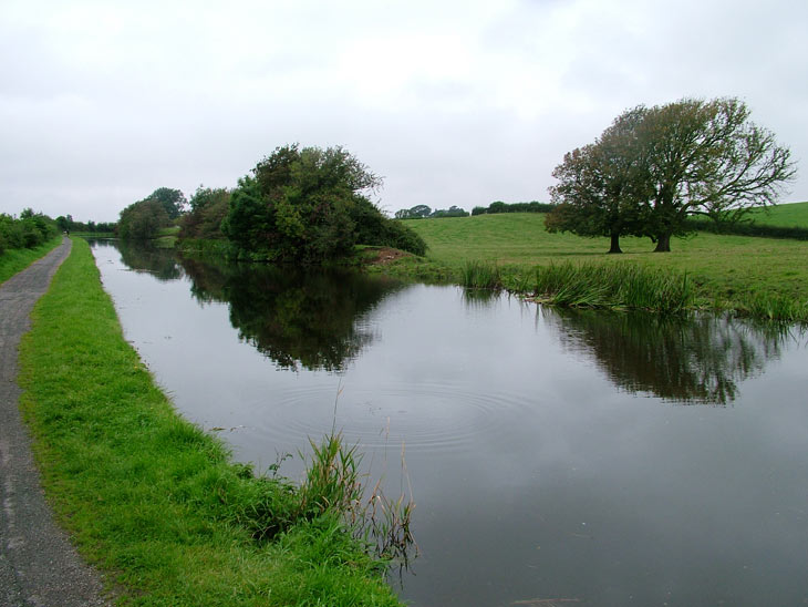 Fields, trees and still a great towpath