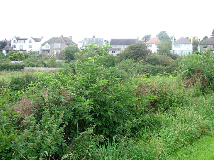 Houses at Hest Bank