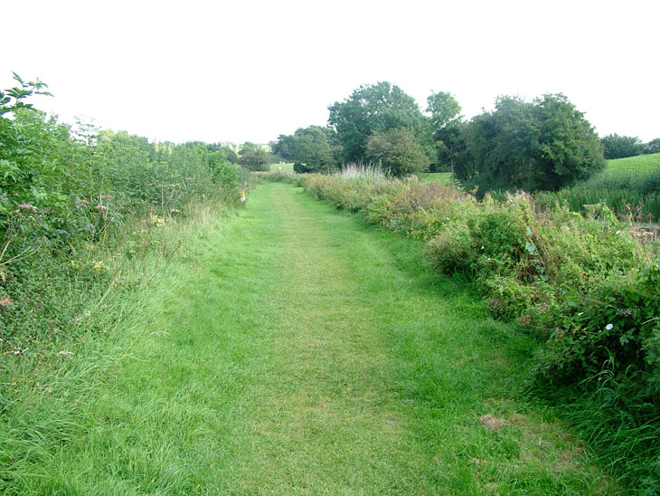 Grass towpath