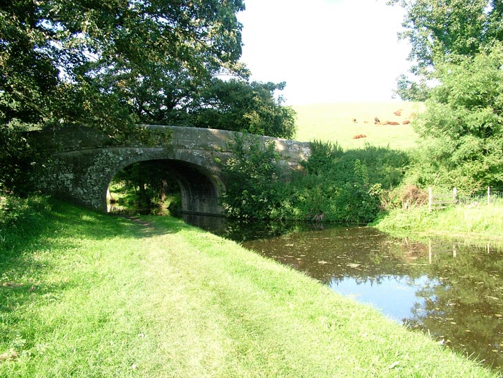 Taylors bridge (Bridge 137)