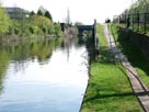 Elevated towpath before Ashburton Road bridge (Bridge 46)