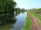 Beautiful countryside Beautiful countryside