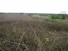 Our first view of the countryside Our first view of the countryside