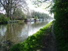 Boats moored near Grappenhall Boats moored near Grappenhall