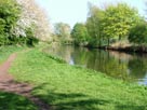 The canal at Grappenhall The canal at Grappenhall