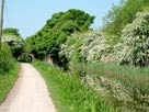 Approaching Cottam Hall bridge (Bridge 17)