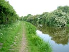 Not much to photograph, all countryside and trees