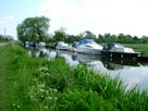 Boats moored