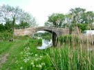 Roots bridge (Bridge 30)