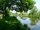 More trees and countryside, lovely place to walk More trees and countryside, lovely place to walk