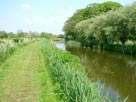 Grassy towpath