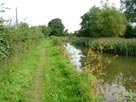 Lots of plants and an under-used towpath Lots of plants and an under-used towpath