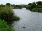 Greenhalgh bridge (Bridge 57)