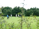 Golf course by the canal