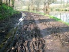 Muddy towpath Muddy towpath