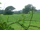 Country views (railway just visible in distance) Country views (railway just visible in distance)