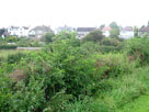 Houses at Hest Bank