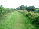 Grass towpath Grass towpath